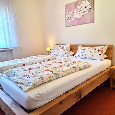 Apartamento Braun Seelbach (Baden-Wurttemberg)