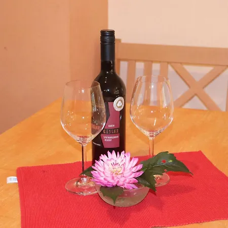 Apartamento Braun Seelbach (Baden-Wurttemberg)