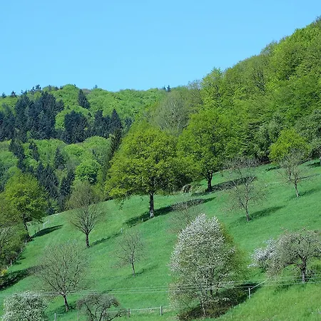 Braun * Seelbach (Baden-Wurttemberg)