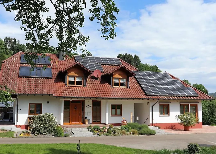 Braun * Seelbach (Baden-Wurttemberg)