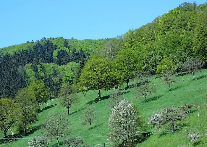 Braun * Seelbach (Baden-Wurttemberg)